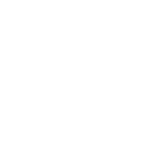Crow Country Icon Air