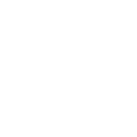 Crow Country Icon Car