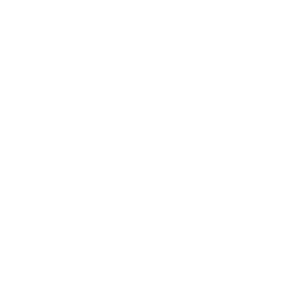 Crow Country Icon RV